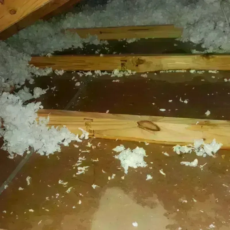 Attic Water Damage in Redford, MI