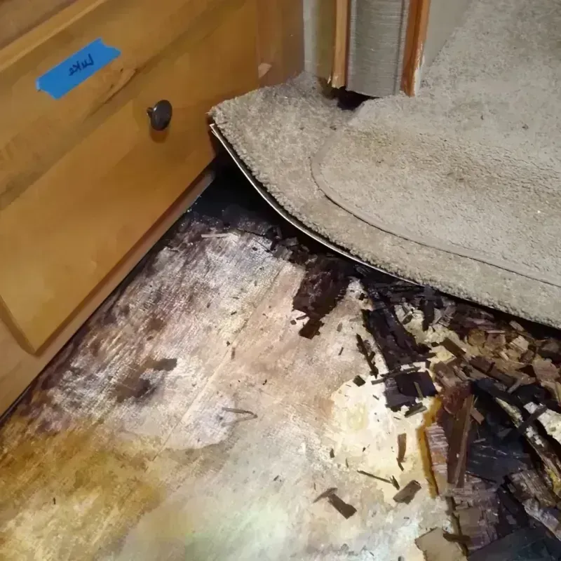 Wood Floor Water Damage in Redford, MI